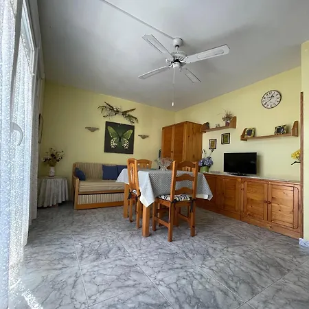 Alexis Basic アパート *