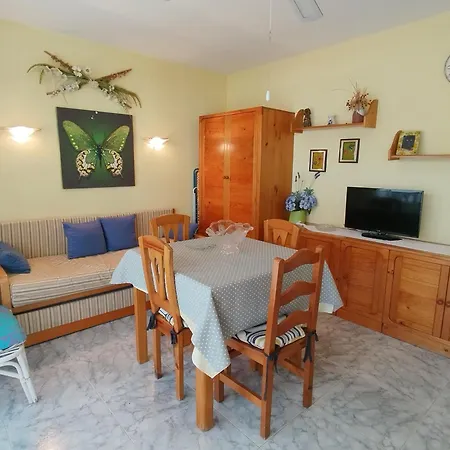 Alexis Basic Apartment