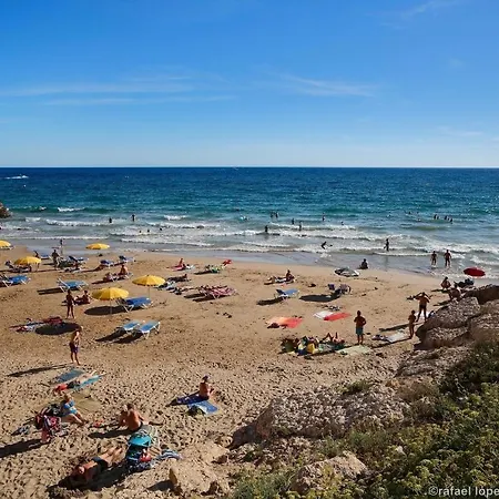 Alexis Basic Salou