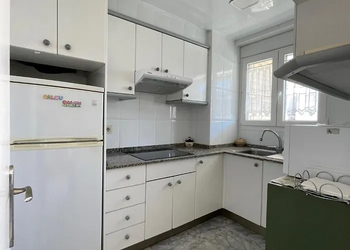 Alexis Basic سالو