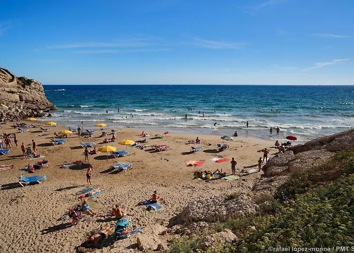 Alexis Basic Salou