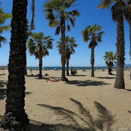 Appartement Alexis Basic