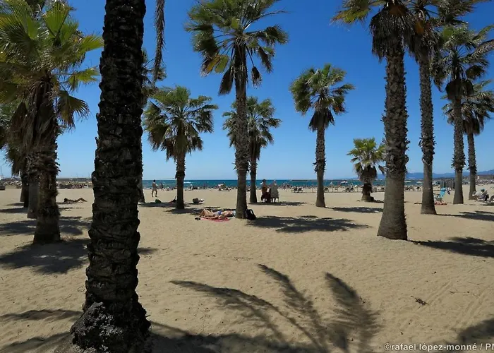 Lägenhet Alexis Basic